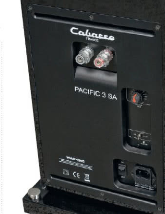 Nie ma się czego bać - aktywna sekcja niskotonowa
Pacyfików nie jest powodem żadnych zmartwień,
a tylko korzyści. Jedyne, co musimy przygotować
dodatkowo, to podłączenie do sieci (zasilającej, nie
internetowej...). Kolumny łączymy z zewnętrznym
wzmacniaczem normalnym przewodem głośnikowym
- niczym więcej, niczym mniej. Poziom basu
możemy regulować, i tyle na temat.