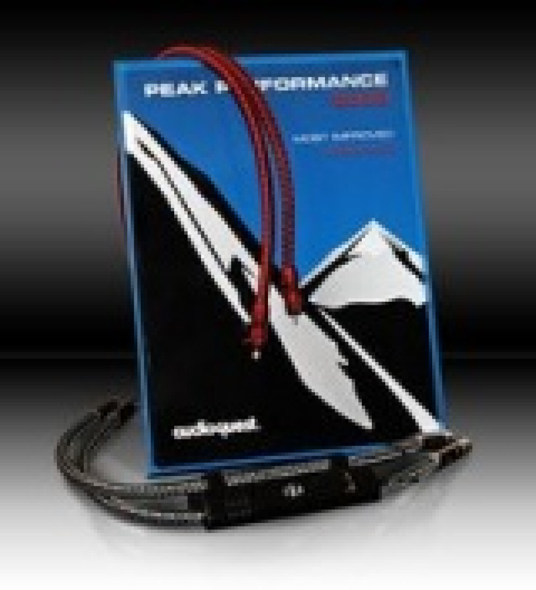 Peak Performance dla Audio Klanu