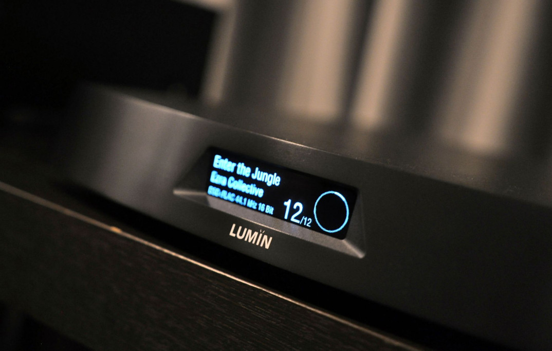 Odtwarzacze strumieniowe Lumin w salonie RMS.pl