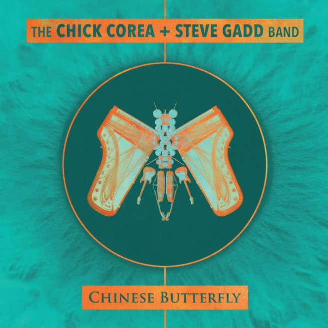 Chinese Butterfly