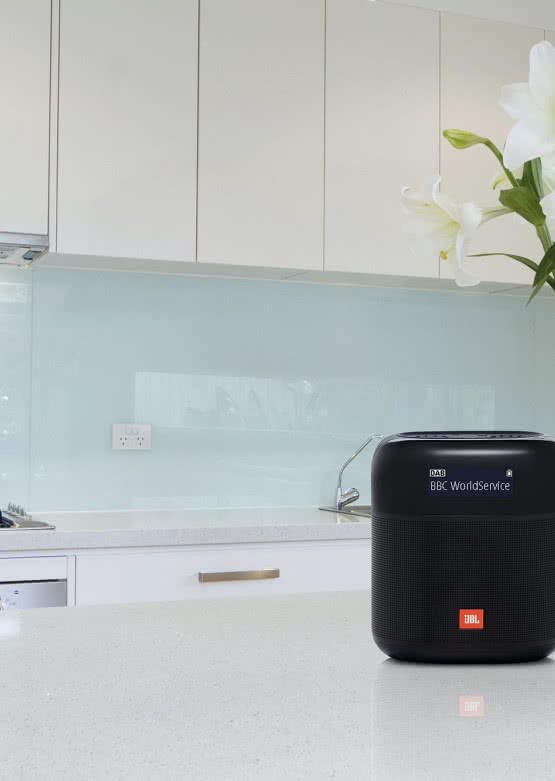 Głośnik z wbudowanym radiem DAB/DAB+/FM JBL Tuner XL