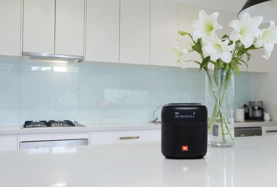 Głośnik z wbudowanym radiem DAB/DAB+/FM JBL Tuner XL