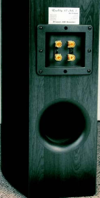 Duży otwór obudowy bas-refleks (średnica 8-cm) emituje ciśnienie o nietypowym kształcie charakterystyki częstotliwościowej, bo sam układ głośników jest niezwyczajny - jeden z nich odfiltrowano jak średniotonowy, ale zainstalowano we wspólnej komorze z niskotonowymi.