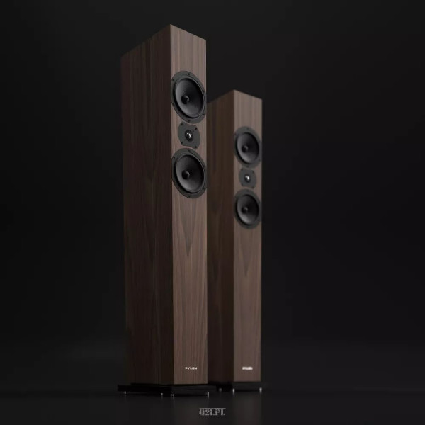 Pylon Audio Zirkon 20