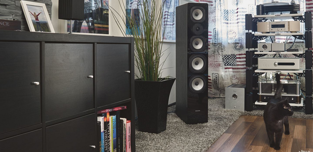 Stefa HFS dystrybutorem kolumn Dynavoice