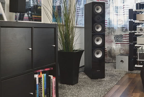 Stefa HFS dystrybutorem kolumn Dynavoice