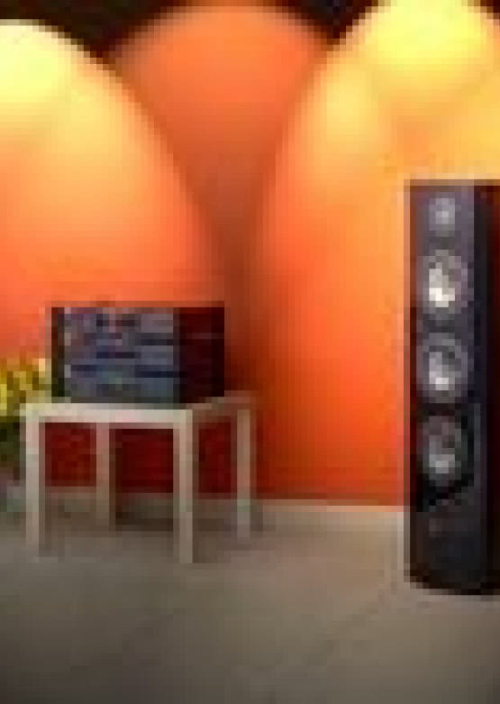 System Fidelity w dystrybucji Decibel