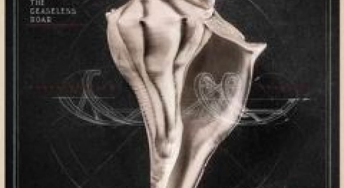 Ukazał się "Lullaby And... The Ceaseless Roar" Roberta Planta