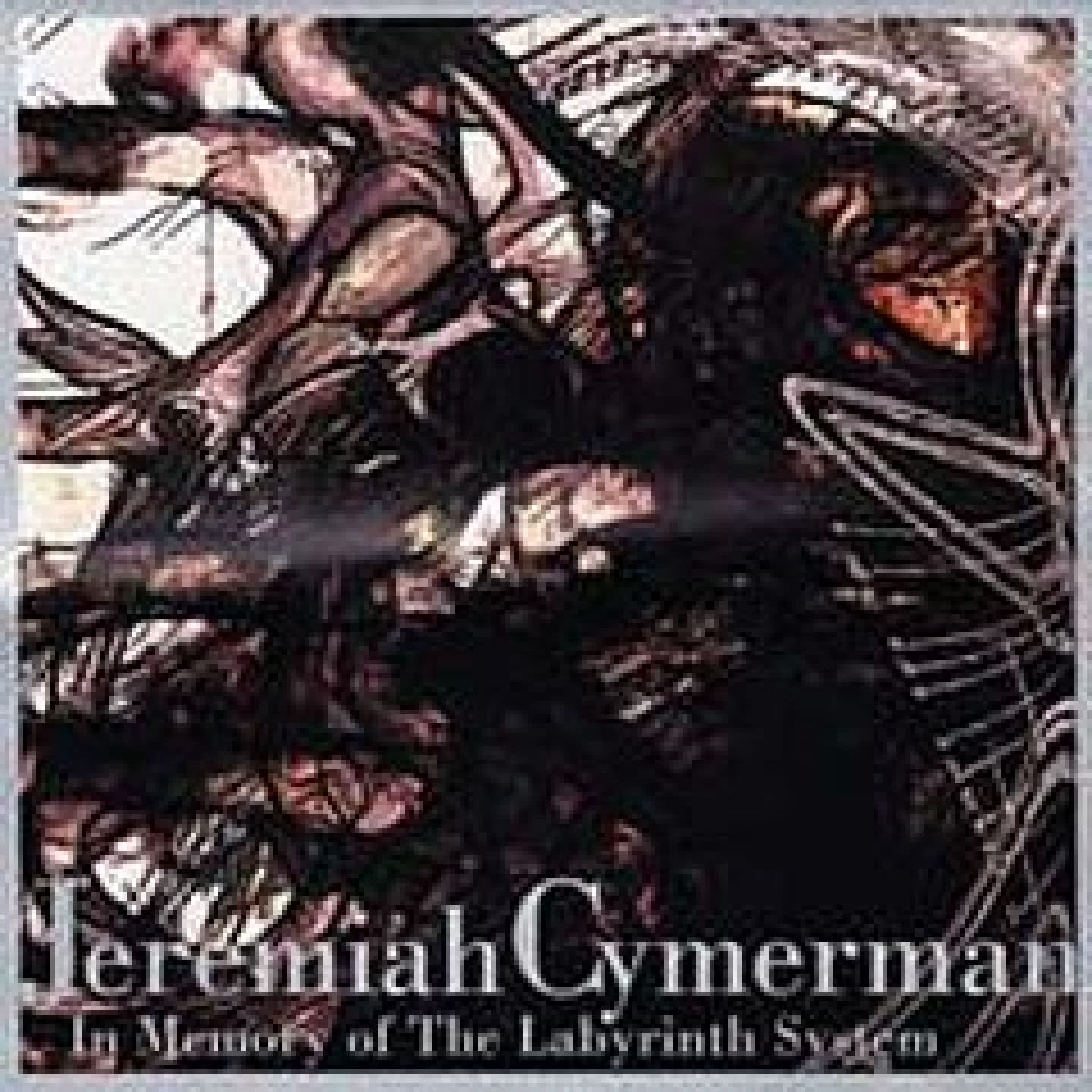 In Memory Of The Labyrinth System