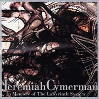 In Memory Of The Labyrinth System