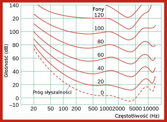 Co to są krzywe izofoniczne i charakterystyka "fizjologiczna"?