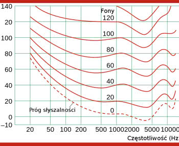Co to są krzywe izofoniczne i charakterystyka "fizjologiczna"?