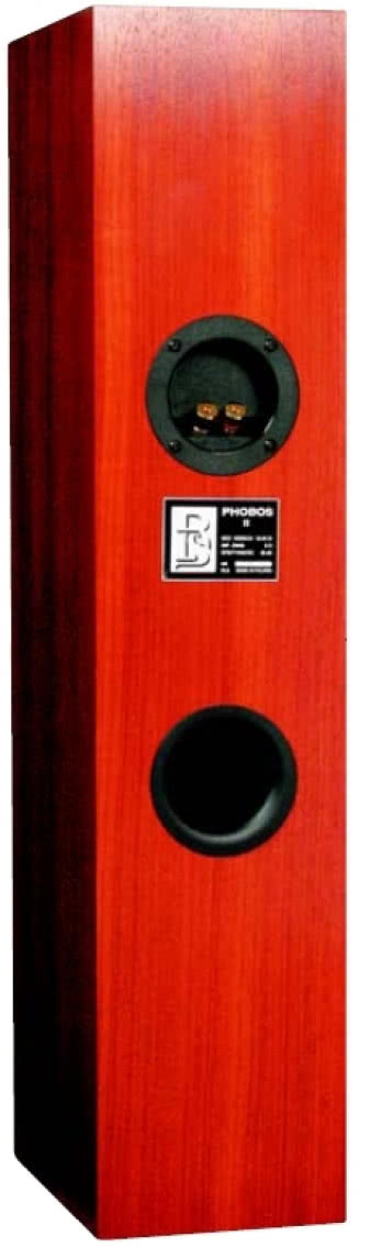 Gniazdo znajduje się dość wysoko - dzięki temu połączenia wewnętrzne są krótsze, ale kabel zewnętrzny będzie nieestetycznie zwisał. Konstruktorowi RLS to jednak zwisa, bo najważniejsze pozostają sprawy akustyczne, na których zna się doskonale.