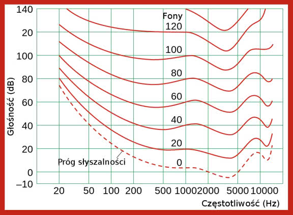 Krzywe izofoniczne Co to są krzywe izofoniczne i charakterystyka "fizjologiczna"?