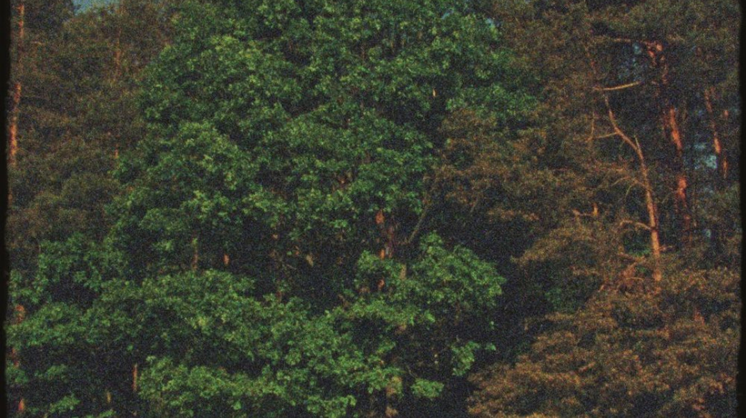 "Małomiasteczkowy" - nowy singiel Dawida Podsiadło