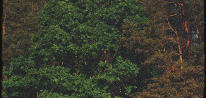 "Małomiasteczkowy" - nowy singiel Dawida Podsiadło