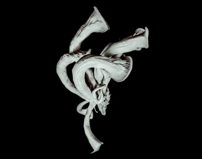  Pixies wydają "Beneath the Eyrie" w wersji Deluxe