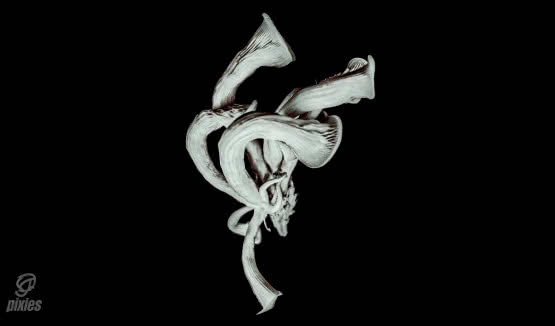  Pixies wydają "Beneath the Eyrie" w wersji Deluxe