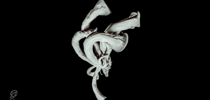  Pixies wydają "Beneath the Eyrie" w wersji Deluxe