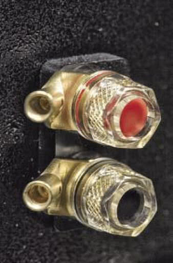 Pośrodku zasilanie, wejścia RCA i XLR, a po bokach gniazda głośnikowe.