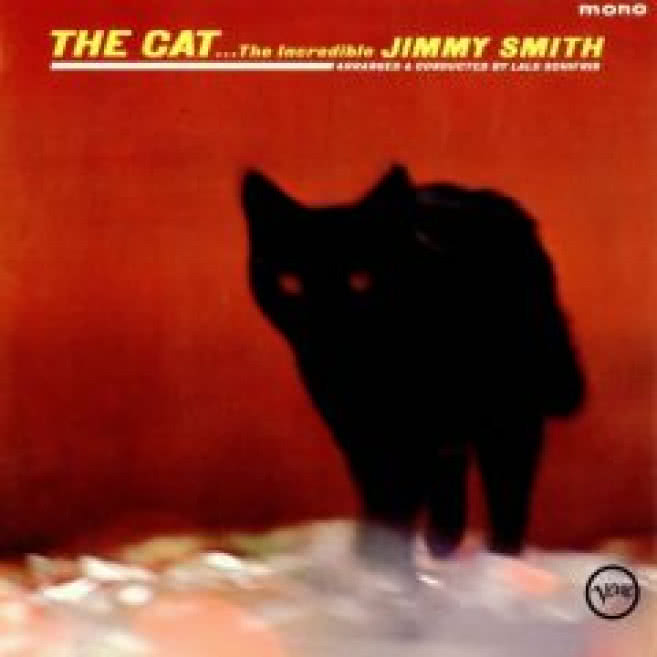 The Cat