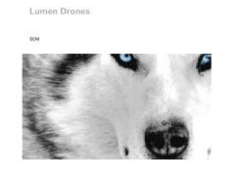 Lumen Drones