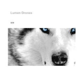 Lumen Drones