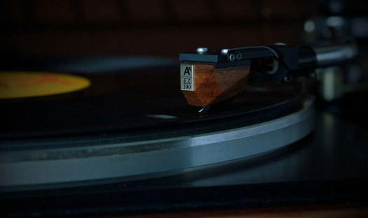 Wkładka gramofonowa Analog Relax EX300. Trzecia i najprostsza z serii