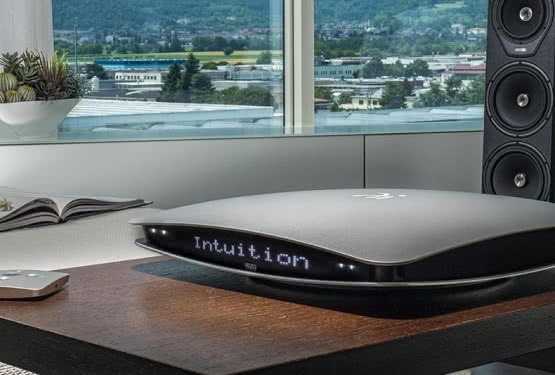 Odsłuchy wzmacniacza Wadia Intuition 01 w ofercie salonu Q21
