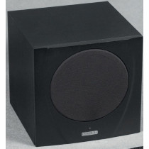 MS300