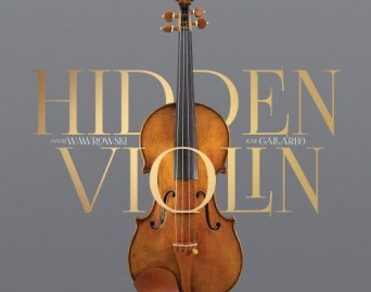 Hidden Violin