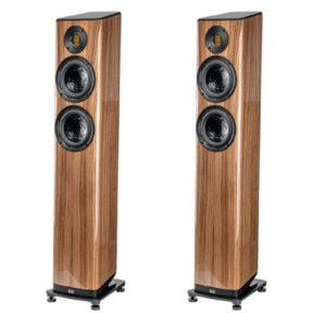 Vela FS407.2 (orzech połysk)