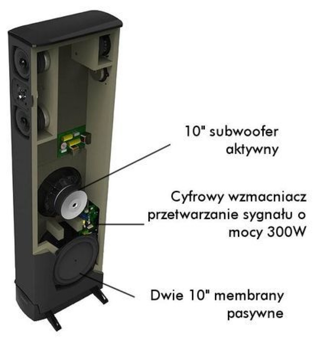 Definitive Technology w Elektropunkt Bydgoszcz