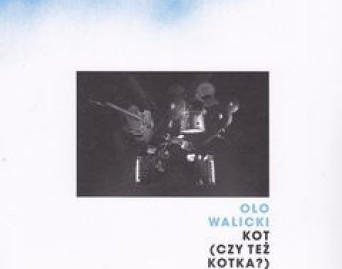 Kot (czy też kotka?)