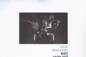 Kot (czy też kotka?)