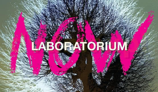 Muzycy grupy Laboratorium o nowym albumie "Now"