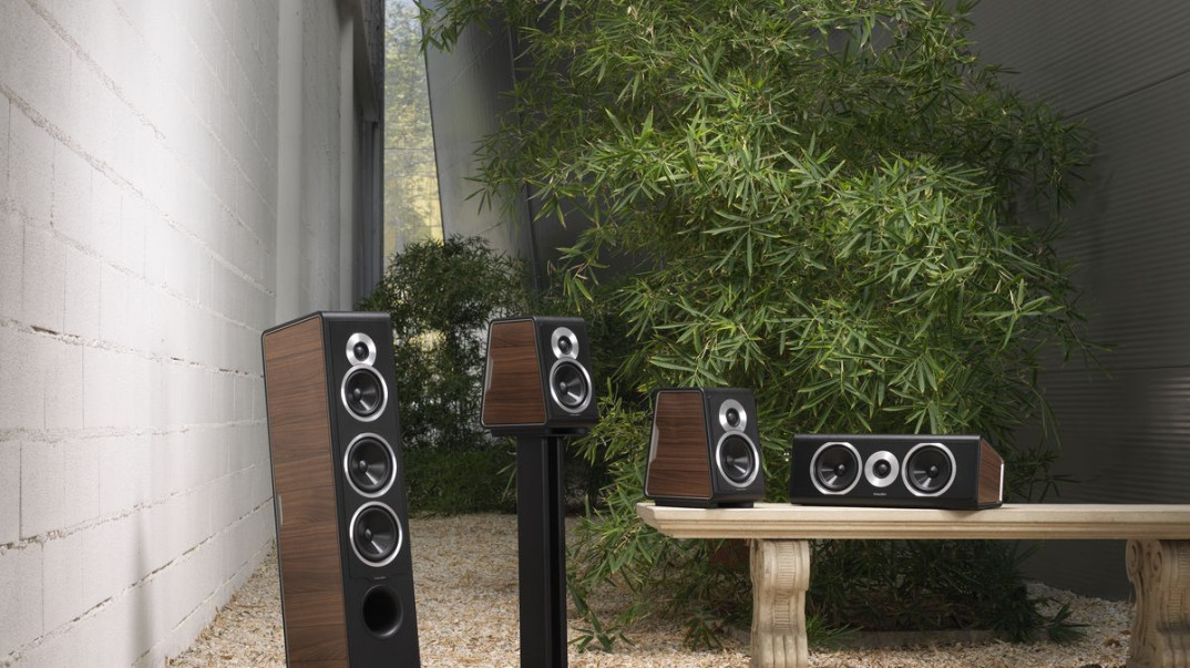 Sonus faber Chameleon w okleinie matowy orzech