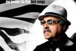 Bird Songs