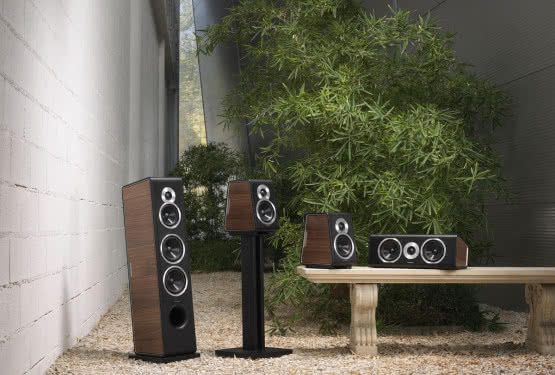 Sonus faber Chameleon w okleinie matowy orzech