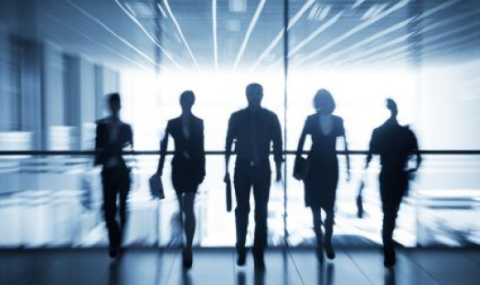 Poszukiwany doradca Klienta indywidualnego w salonie audio-video Q21