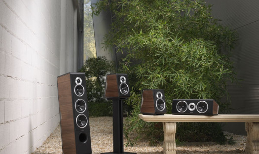 Sonus faber Chameleon w okleinie matowy orzech