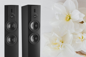 Dali Rubicon 6 Black Edition (BE) - limitowana wersja w liczbie 888 sztuk