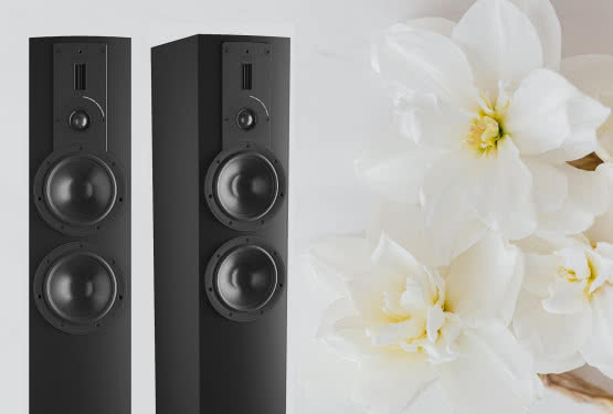 Dali Rubicon 6 Black Edition (BE) - limitowana wersja w liczbie 888 sztuk