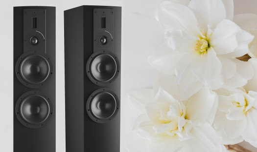 Dali Rubicon 6 Black Edition (BE) - limitowana wersja w liczbie 888 sztuk