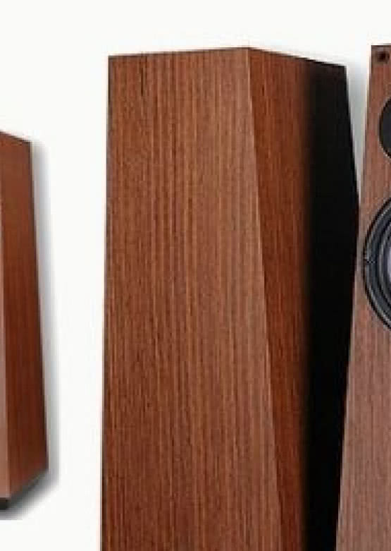 Harpia Acoustic 300B Mini w Premium Sound