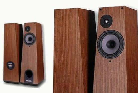 Harpia Acoustic 300B Mini w Premium Sound