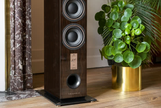 Triangle świętuje urodziny i wypuszcza jubileuszowe kolumny  w limitowanej liczbie