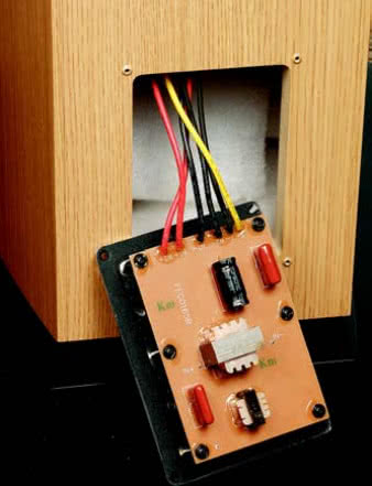 ... która okazuje się wystarczająco dużą bazą dla zamontowania prostej zwrotnicy - Moorea to układ dwudrożny, mimo że ustawienie pary głośników 18-cm kojarzy się z działaniem systemu dwuipółdrożnego.