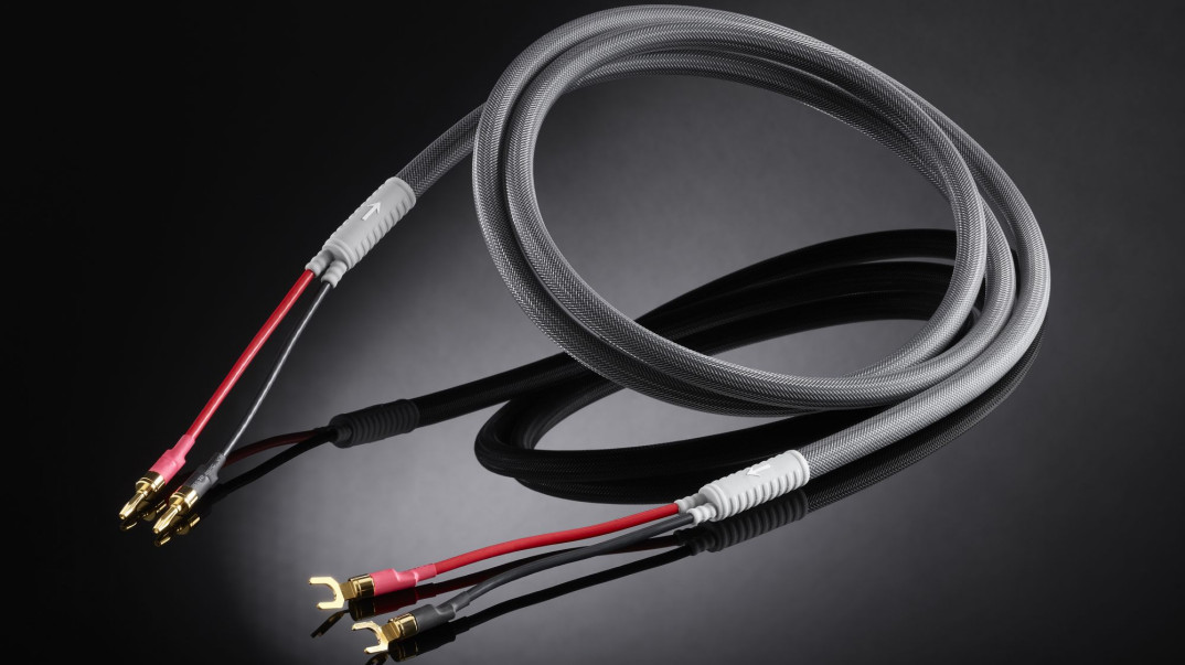 Przewody sygnałowe Shunyata Reference V2
