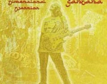 Multi Dimensional Warrior